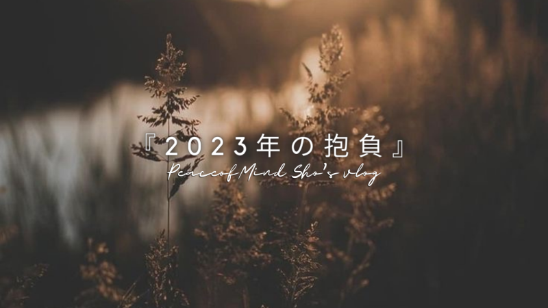 2023年の抱負